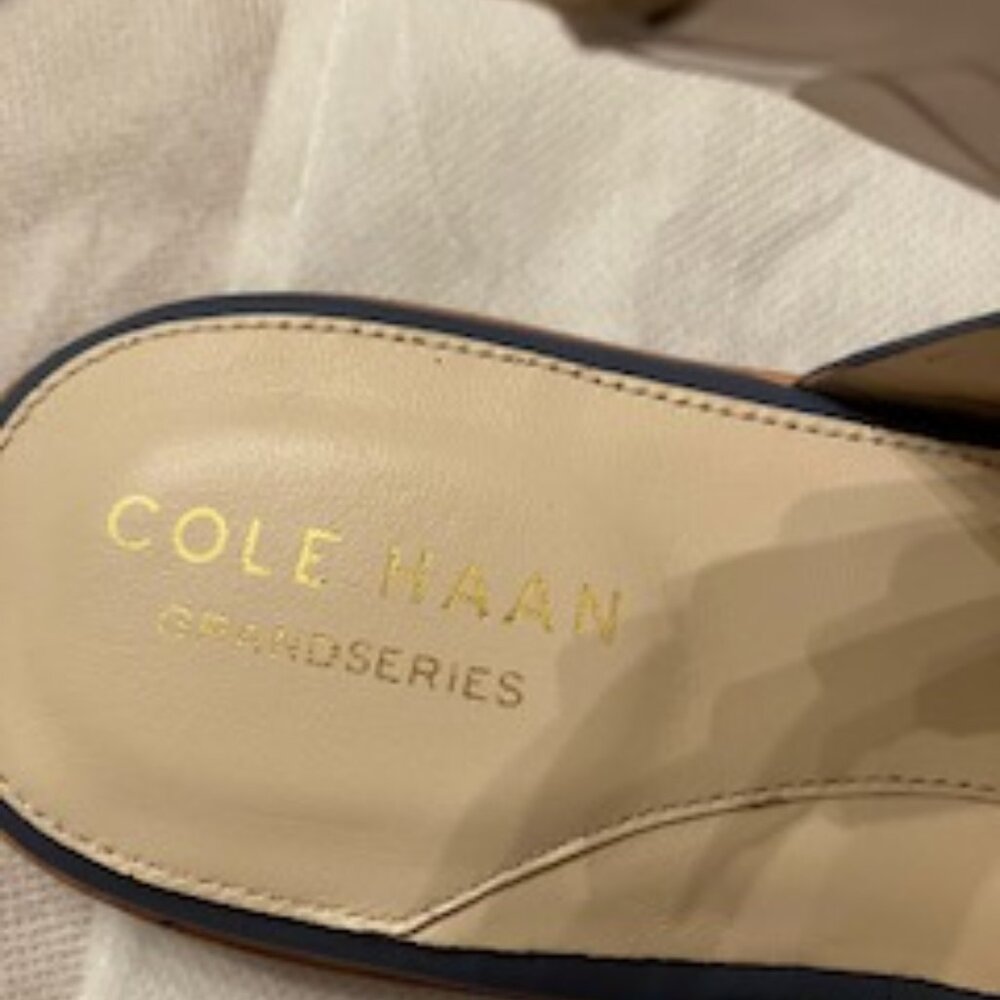 Cole Haan Anica Thong Sandal, vintage indigo LTH, 7.5B - Picture 7 of 10